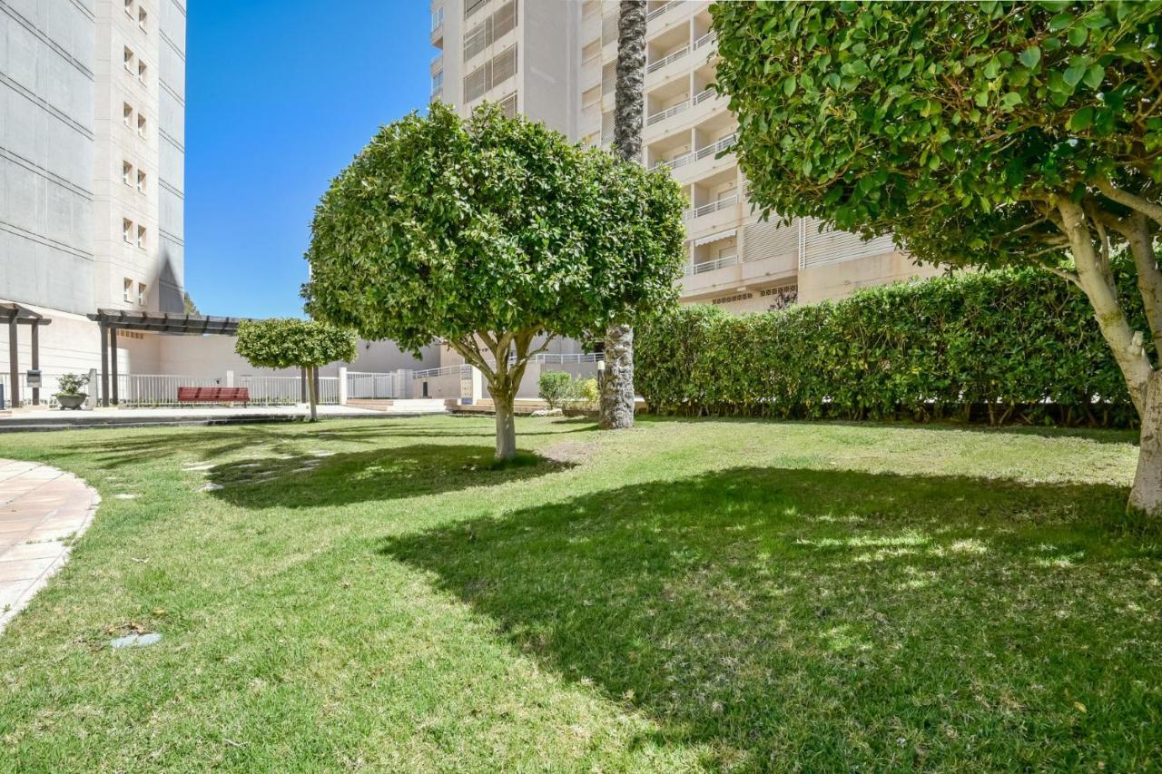 Homeincalpe Apolo XVI 2-15-68 Экстерьер фото